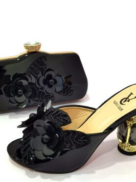 Women Shoe & Purse set #PSP2